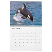 Wale (Orcinus orca) für 12 Monate Kalender (Mär 2026)