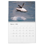 Wale (Orcinus orca) für 12 Monate Kalender (Feb 2026)