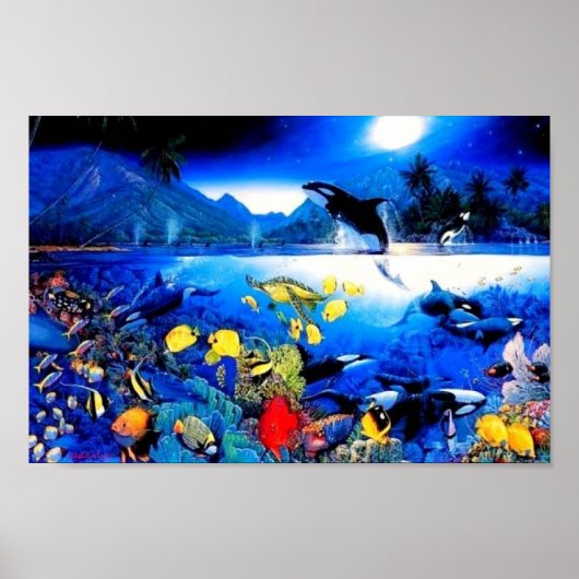 Wale Poster (Vorne)