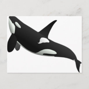 Wale Postkarte