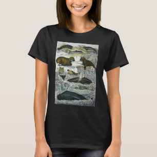 Wale, Robben und Walrosse, Vintage Meereslebewesen T-Shirt