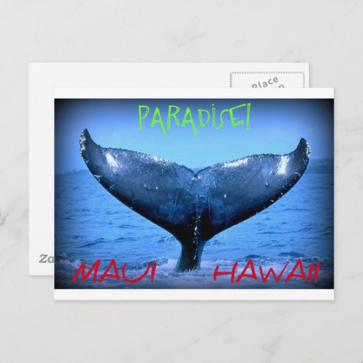 WALE SCHWANZ MAUI PARADISE HAWAII POSTKARTE (Vorne/Hinten)
