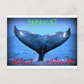 WALE SCHWANZ MAUI PARADISE HAWAII POSTKARTE (Vorderseite)