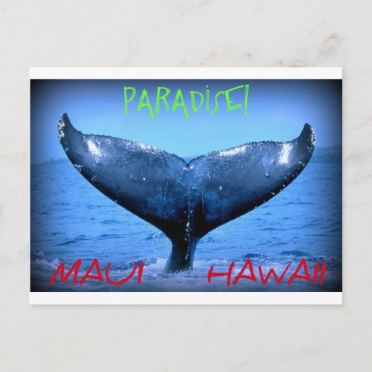 WALE SCHWANZ MAUI PARADISE HAWAII POSTKARTE (Vorderseite)
