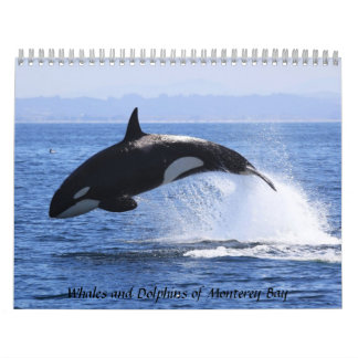 Wale und Delphine in der Monterey Bay Kalender