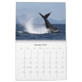 Wale und Delphine in der Monterey Bay Kalender (Jan 2026)