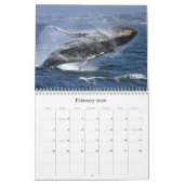 Wale und Delphine in der Monterey Bay Kalender (Feb 2026)
