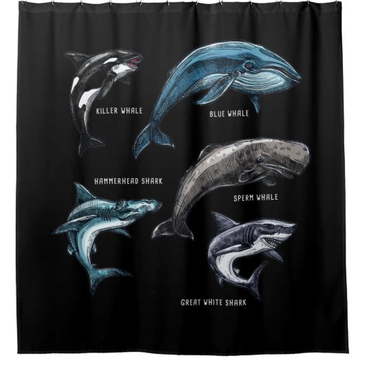 Wale und Haifische — erwachsener grafischer Entwur Duschvorhang (Vorderseite)