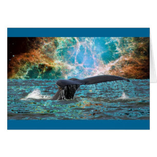 Wale und Supernova