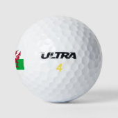 Walenflagge Golfball (Logo)