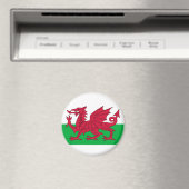 Walenflagge Magnet (In Situ (Geschirrspüler))