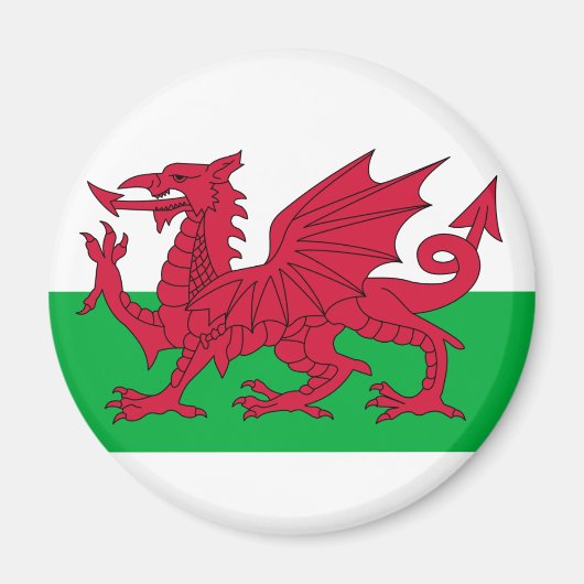 Walenflagge Magnet (Vorne)