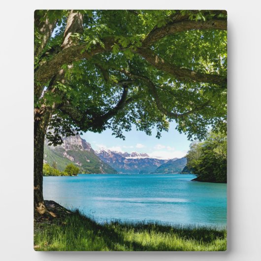 Walensee Schweiz Fotoplatte (Vorderseite)