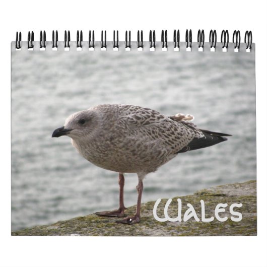 Wales 2022 Calendar Kalender (Titelbild)