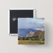 WALES BUTTON (Vorne & Hinten)