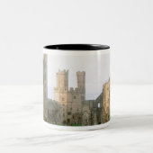 Wales, Caernarfon Burg, einer von Edwards 2 Zweifarbige Tasse (Mittel)