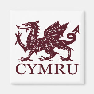 Wales CYMRU Magnet