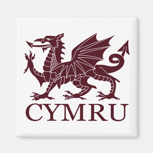 Wales CYMRU Magnet (Vorne)