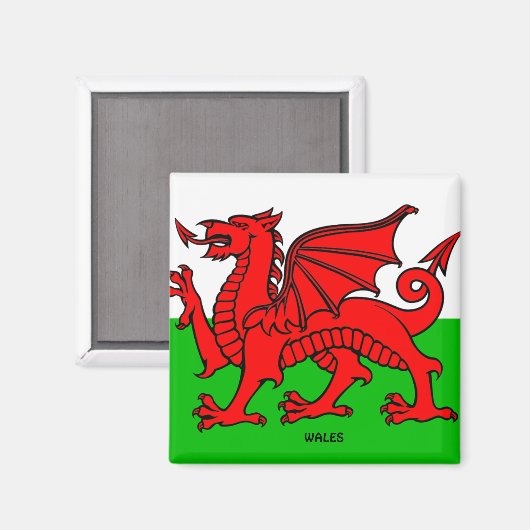WALES FLAG /DRAGON MAGNET (Vorderseite/Rückseite)