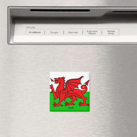 WALES FLAG /DRAGON MAGNET (In Situ (Geschirrspüler))