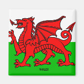 WALES FLAG /DRAGON MAGNET (Vorne)
