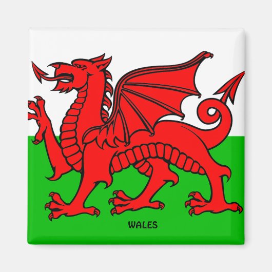 WALES FLAG /DRAGON MAGNET (Vorne)