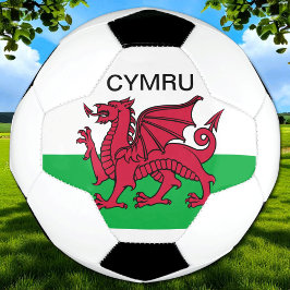 Wales Flag Weltmeisterschaft 2022 Roter Drache Cym Fußball