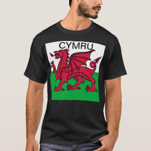 Wales Flag Weltmeisterschaft 2022 Roter Drache Cym T-Shirt
