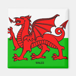 WALES-FLAGGE / DRACHE MAGNET