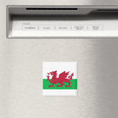 Wales-Flagge Magnet (In Situ (Geschirrspüler))