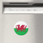 Wales-Flagge Magnet (In Situ (Geschirrspüler))