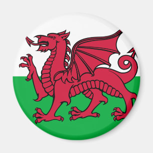 Wales-Flagge Magnet