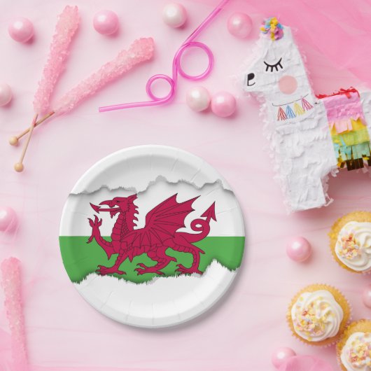 Wales-Flagge Pappteller (Party)