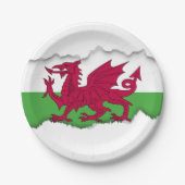Wales-Flagge Pappteller (Vorderseite)