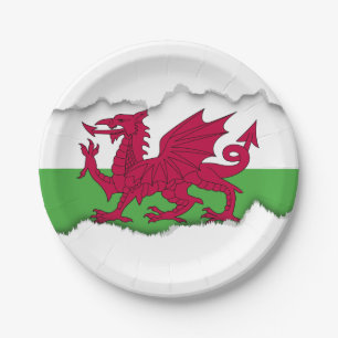 Wales-Flagge Pappteller
