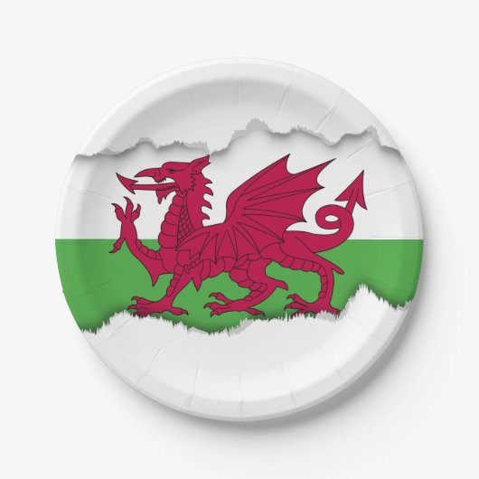 Wales-Flagge Pappteller (Vorderseite)