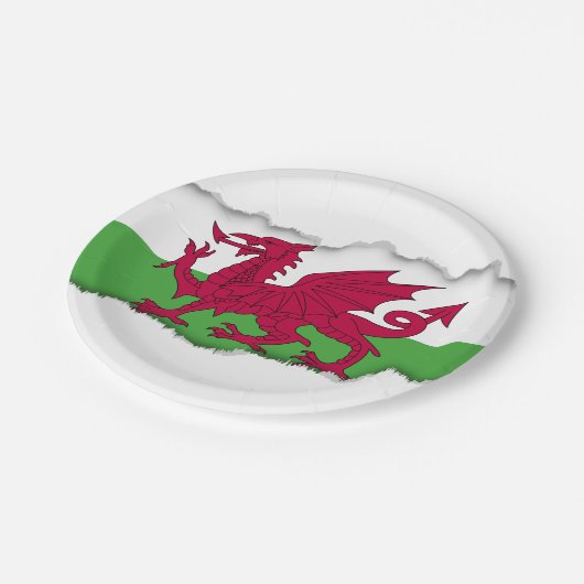 Wales-Flagge Pappteller (Schrägansicht)