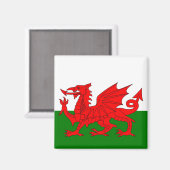 Wales flagge Welsh Red Dragon Magnet (Vorderseite/Rückseite)