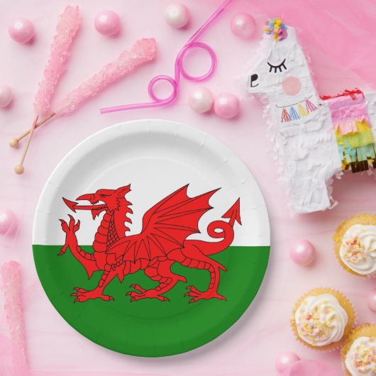 Wales flagge Welsh Red Dragon Pappteller (Party)