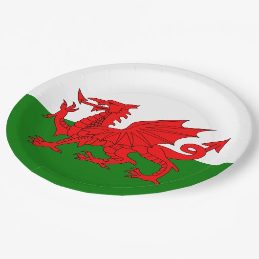Wales flagge Welsh Red Dragon Pappteller (Schrägansicht)
