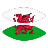 Wales Football (Paneele)