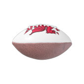 Wales Football (Gedreht 90)