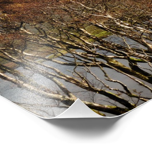 WALES FOTODRUCK (Ecke)