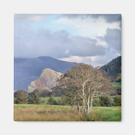 WALES MAGNET (Vorne)