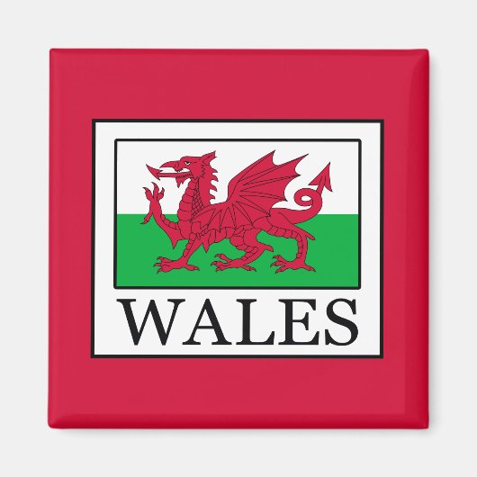 Wales Magnet (Vorne)