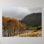 WALES POSTER (Vorne)