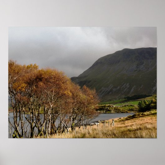 WALES POSTER (Vorne)