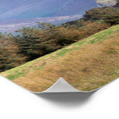 WALES POSTER (Ecke)