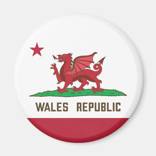 Wales Republic Dragon Flag Welsh Pride Magnet (Vorne)