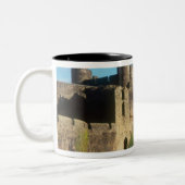 Wales - Schloss Caerphilly mit Blick auf die Zweifarbige Tasse (Links)